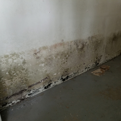 Mold Removal In Bridgewater, MA- Moldguys Restoration, LLC.